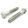 1/2' x 3' 304 Edelstahl Hex Lag Bolt Schrauben, 10 Stk. (BCP1141)
