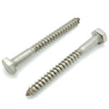 1/4' x 2-1/2' 304 Edelstahl Hex Lag Bolt Schrauben, 20 Stk. (BCP1168)