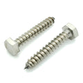 1/4' x 1-1/2' 304 Edelstahl Hex Lag Bolt Schrauben, 20 Stk. (BCP1171)