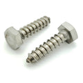 1/4' x 1' 304 Edelstahl Hex Lag Bolt Schrauben, 100 Stk. (BCP1208)