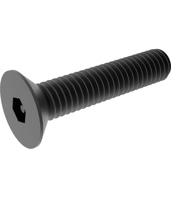M5-0,80 x 25 mm Vollverschraubung mit flachem Kopf Socket Cap Schraubenbolzen | 100 Stk. | (BCP1222)